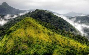 Silent valley pdf picture